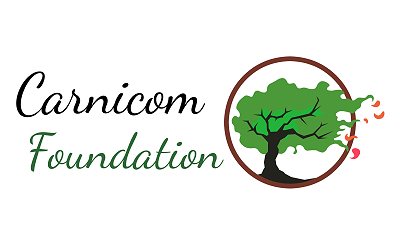 Carnicom Foundation Proposal & Summary