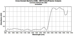 Human Transformation : Synthetic Blood, Bioplastics, and the Global Blood Clot