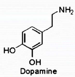 dopamine-300x311.jpg