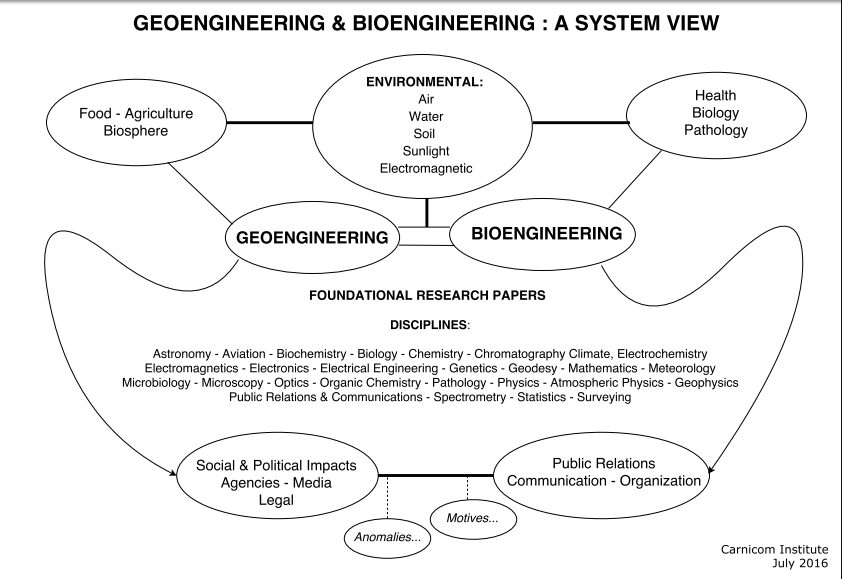 GeoEngineering – BioEngineering : A System View